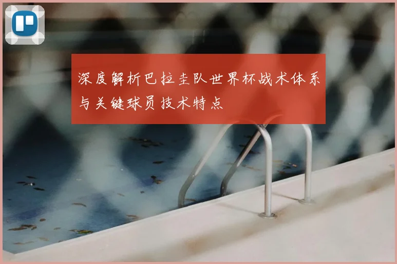深度解析巴拉圭队世界杯战术体系与关键球员技术特点